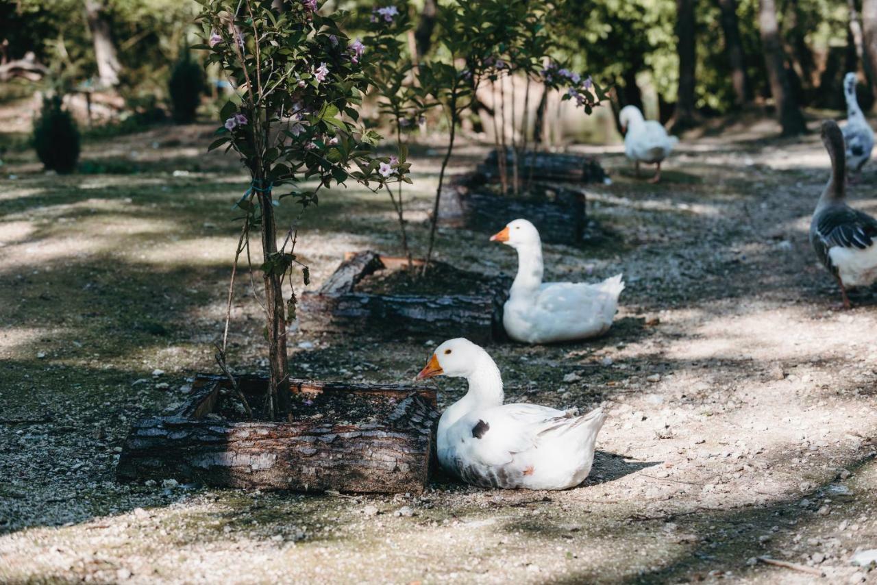Hotel Kostelski Buk Bihac Bagian luar foto