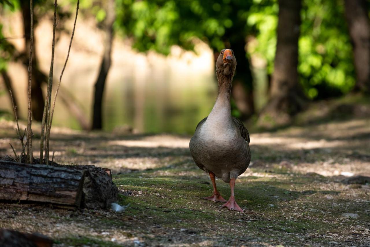 Hotel Kostelski Buk Bihac Bagian luar foto